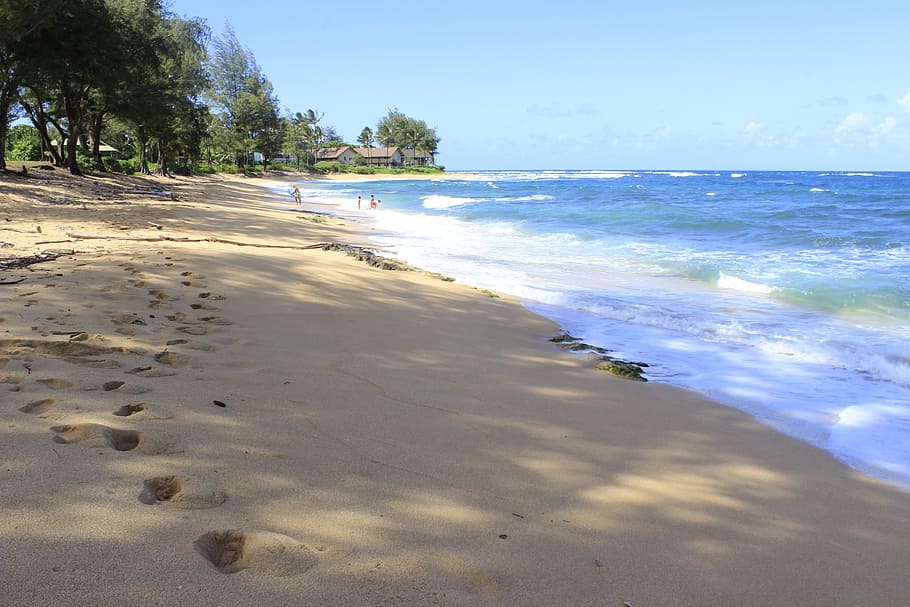 foot print on shore during daytiume, beach, sand, sea, vacation HD wallpaper