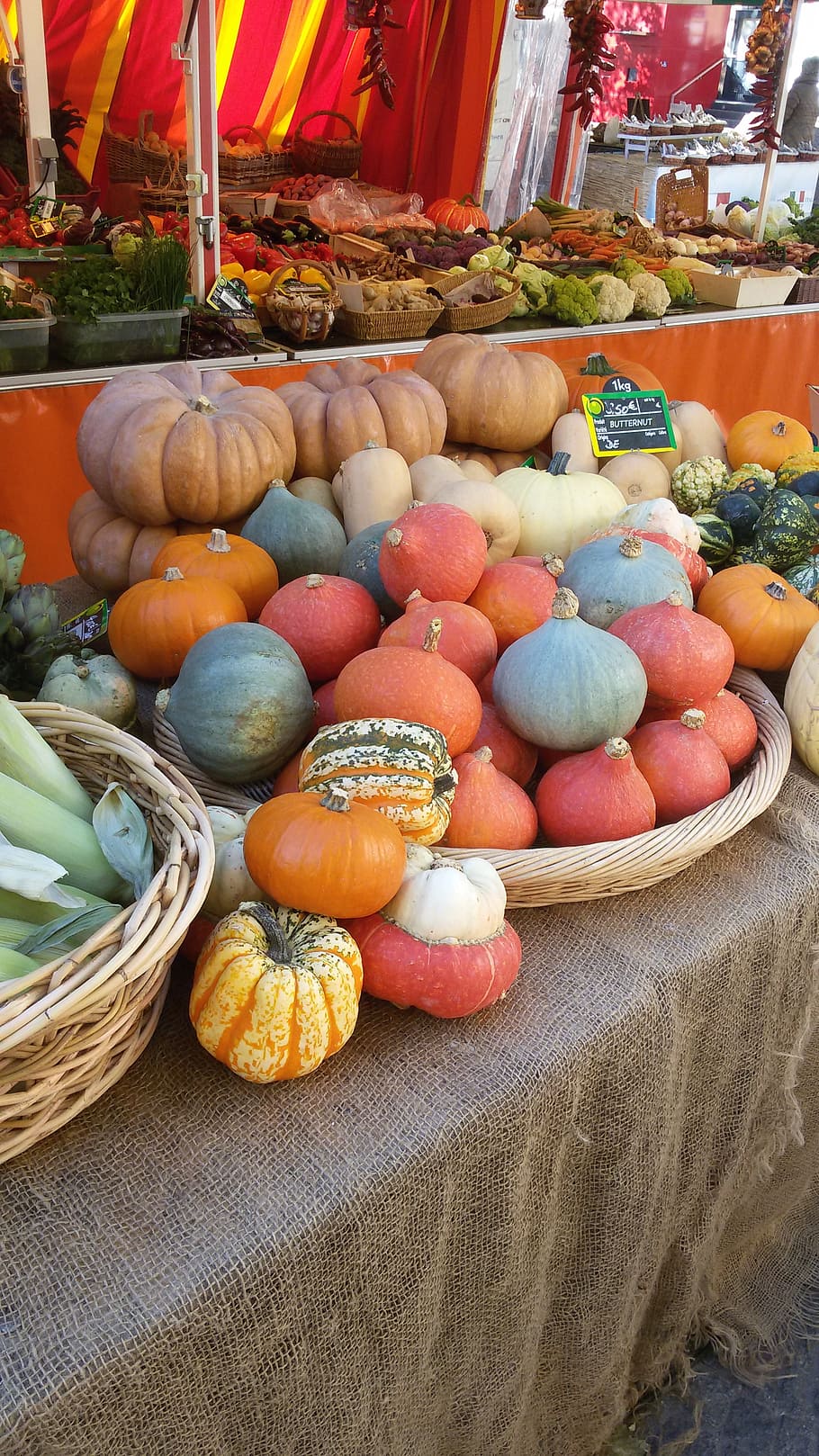 pumpkins, vegetables, orange, autumn, food and drink, choice HD wallpaper