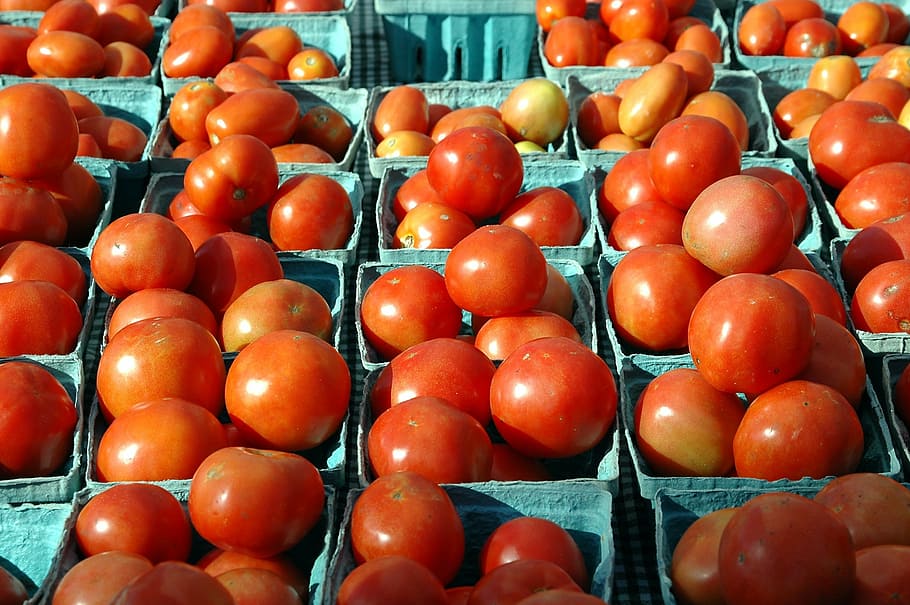 tomatoes, for sale, fruit, tasty, red, food, market, organic, HD wallpaper