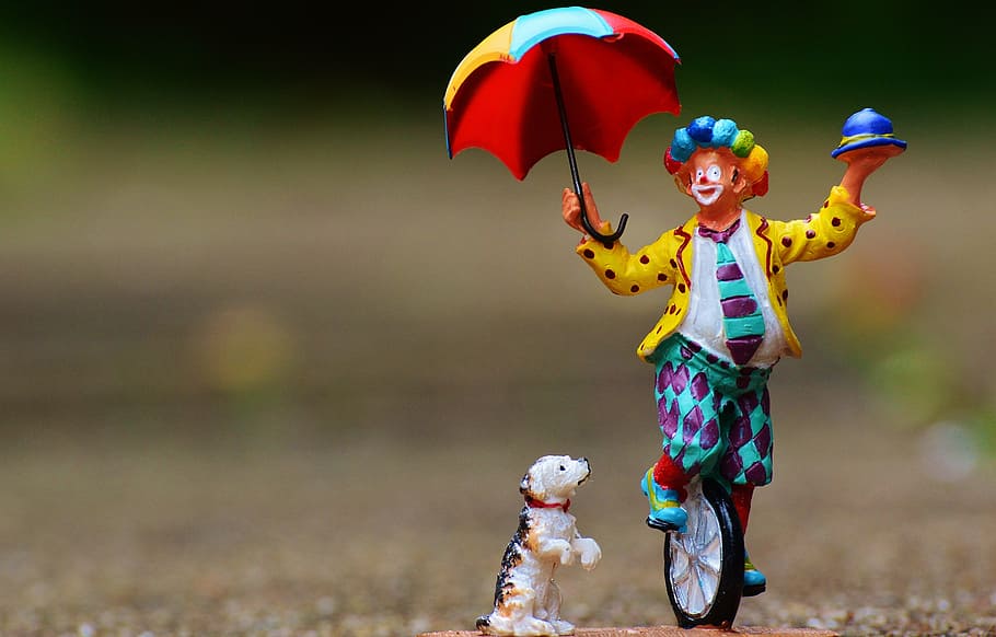 shallow focus photography of clown and dog figurines, funny, unicycle