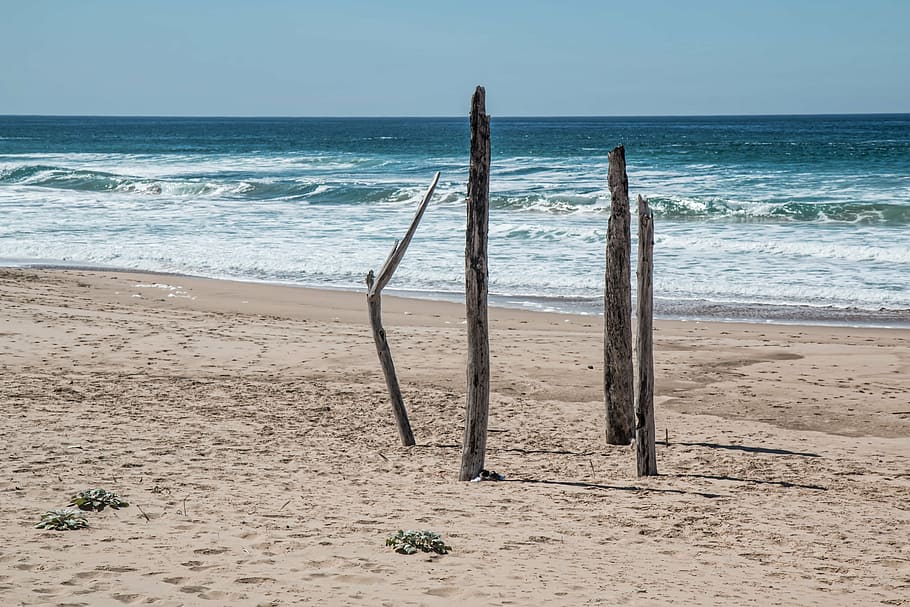 four brown drift wood on beach shoe, seaside, alone, isolated HD wallpaper