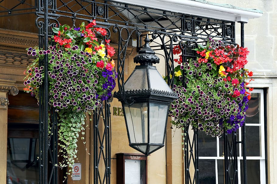 flowers, hanging baskets, lamp, ornamental, wiltshire, devizes, HD wallpaper