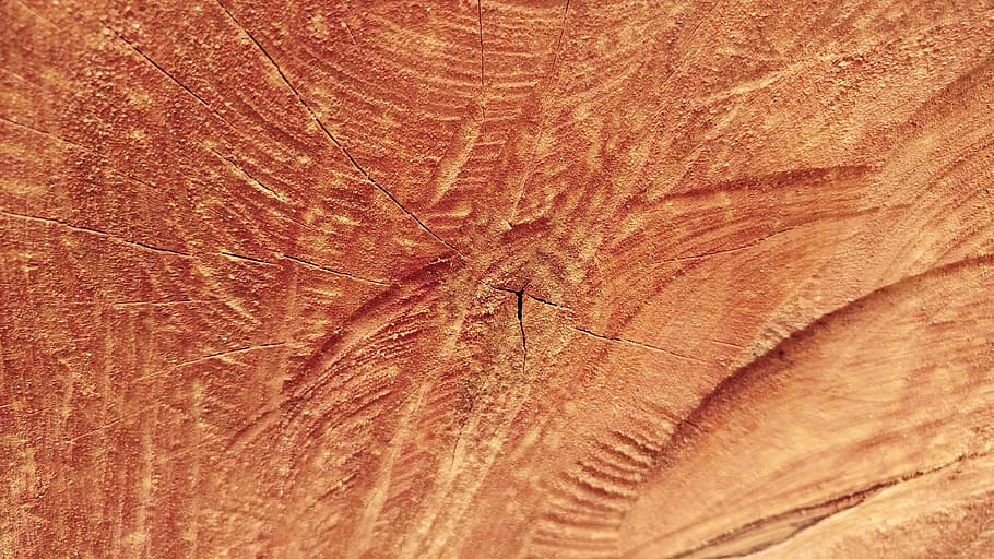 sawn, wood, log, timber, lumber, textures, nature, tree, pattern HD wallpaper