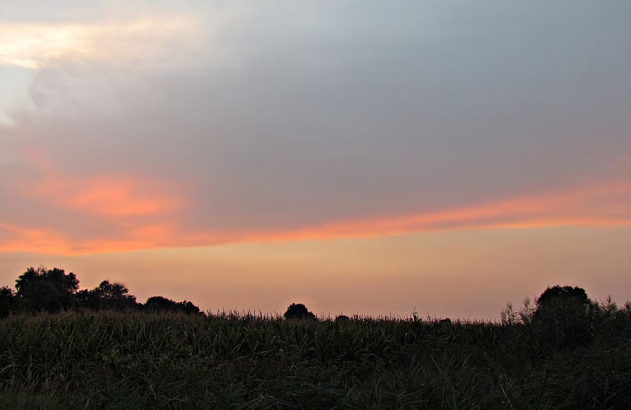 sky, west, the sun, clouds, light, colors of the sky, nature HD wallpaper