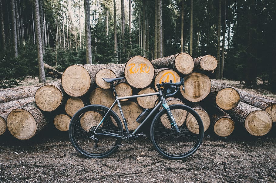 gray city bike, black and gray mountain bike leaning on brown wood logs HD wallpaper