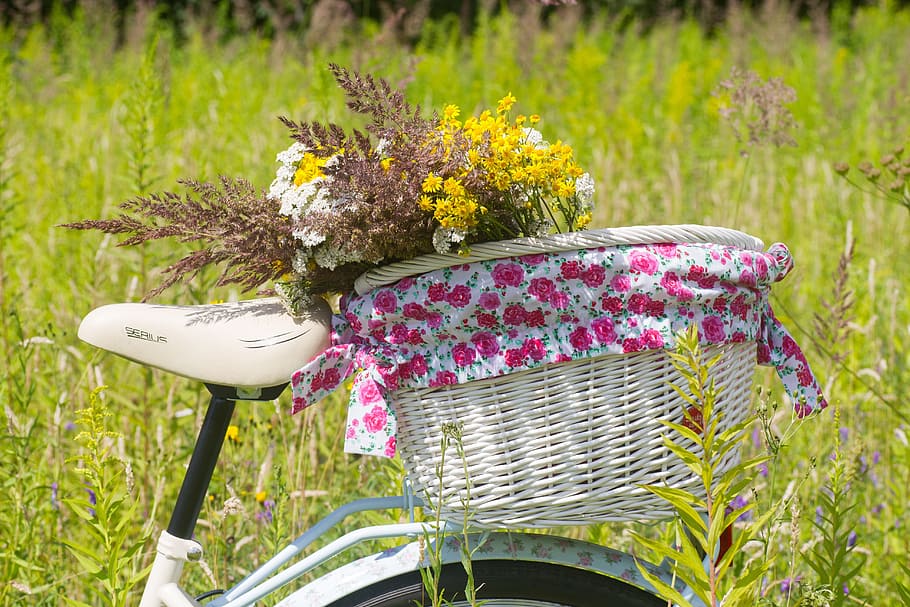 bicycle, summer, basket, ride, ladies cycle, bike, park, biking HD wallpaper