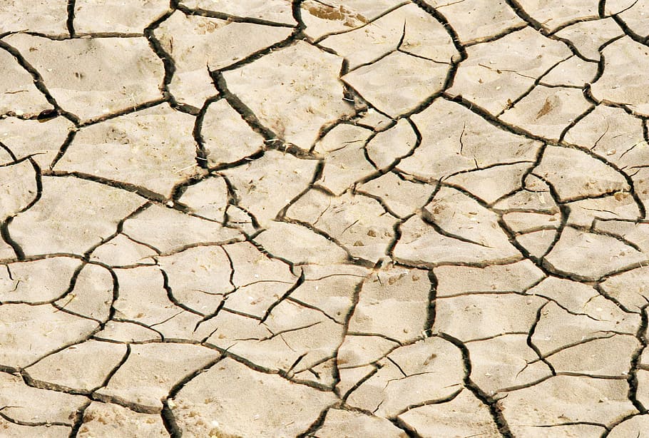 closeup photo of dried soil, background, sand, texture, brittle HD wallpaper