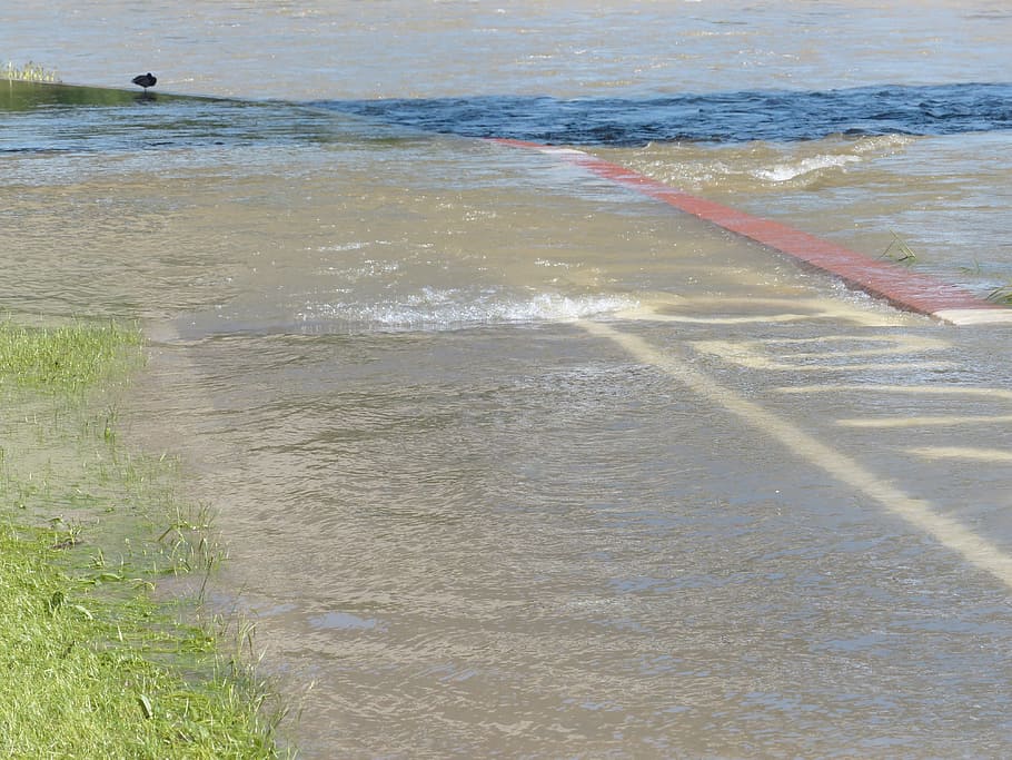 danube, high water, cycle path, away, road, flooded, bank, promenade HD wallpaper