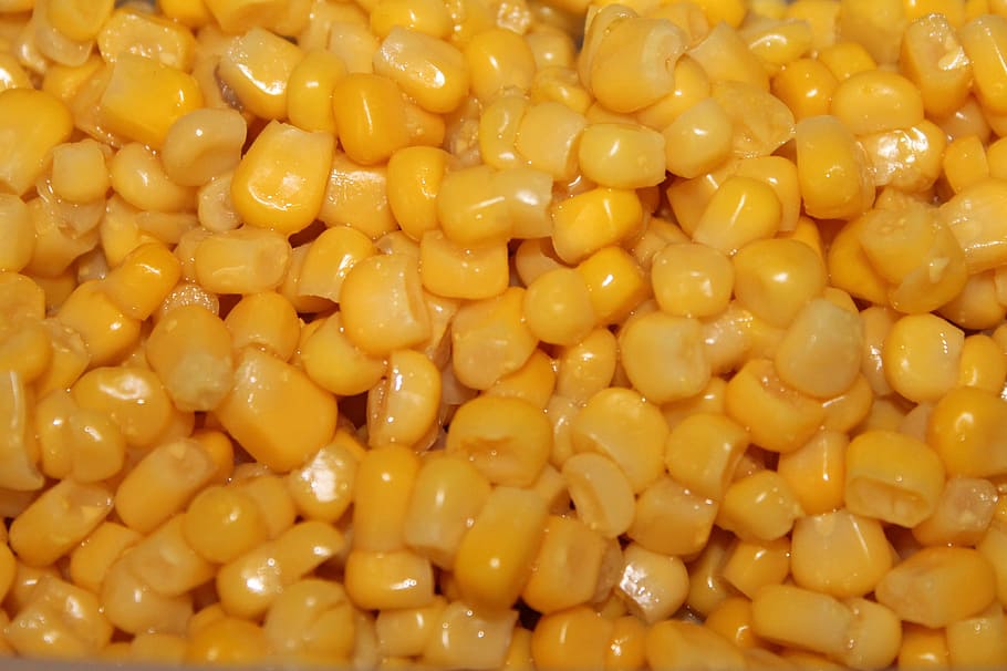 corn, background, food, corn kernels, cook, eat, food and drink HD wallpaper