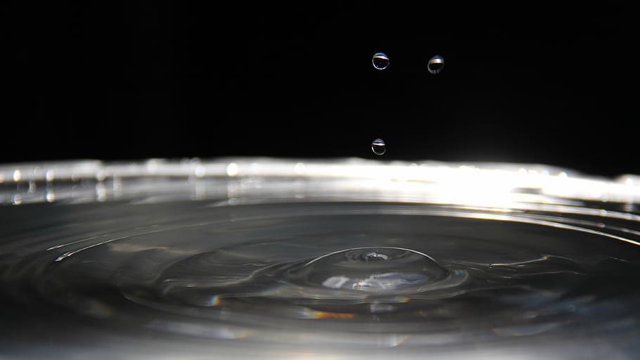 Drops, Tribbles, Water, motion, no people, close-up, puddle HD wallpaper