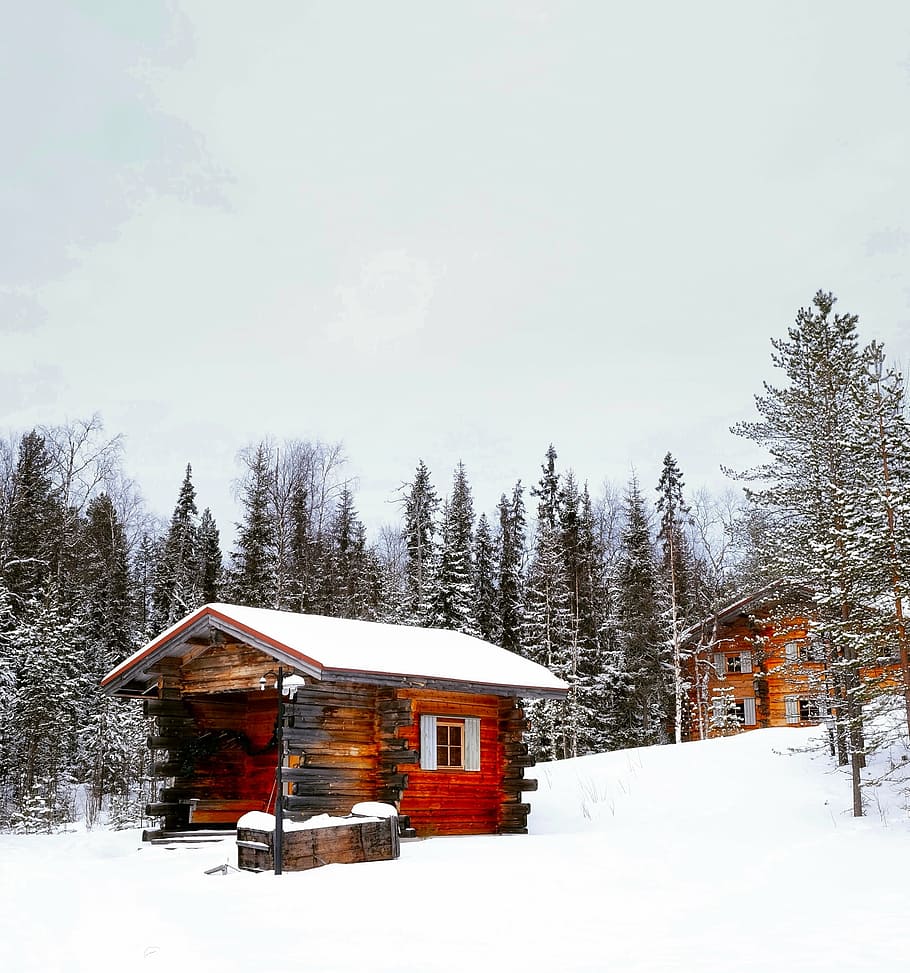 red and brown wooden shed covered with snow taken at daytime HD wallpaper