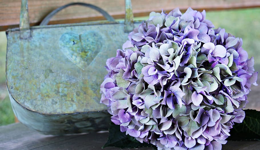 purple and green flower bouquet near green and blue floral handbag HD wallpaper