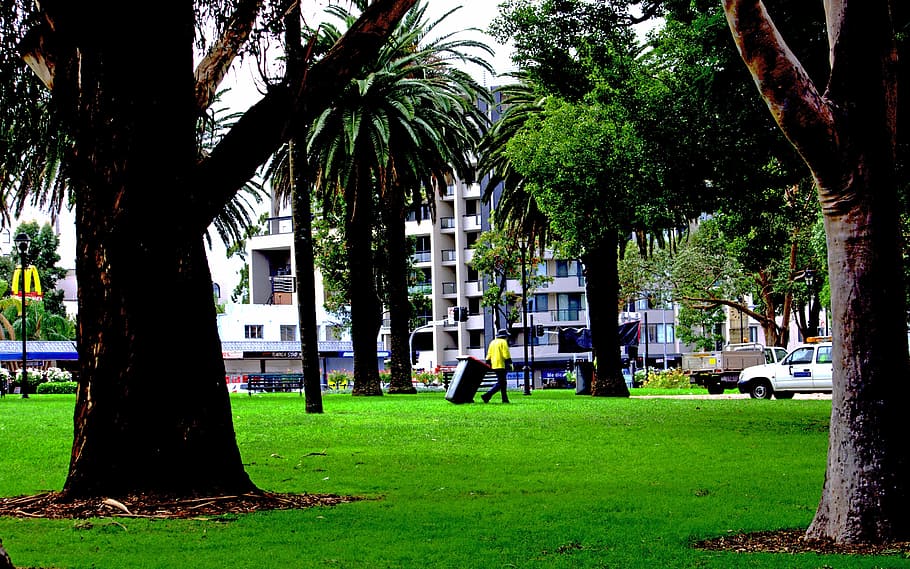 worker, park, nature, green, garden, grass, gardener, tree HD wallpaper