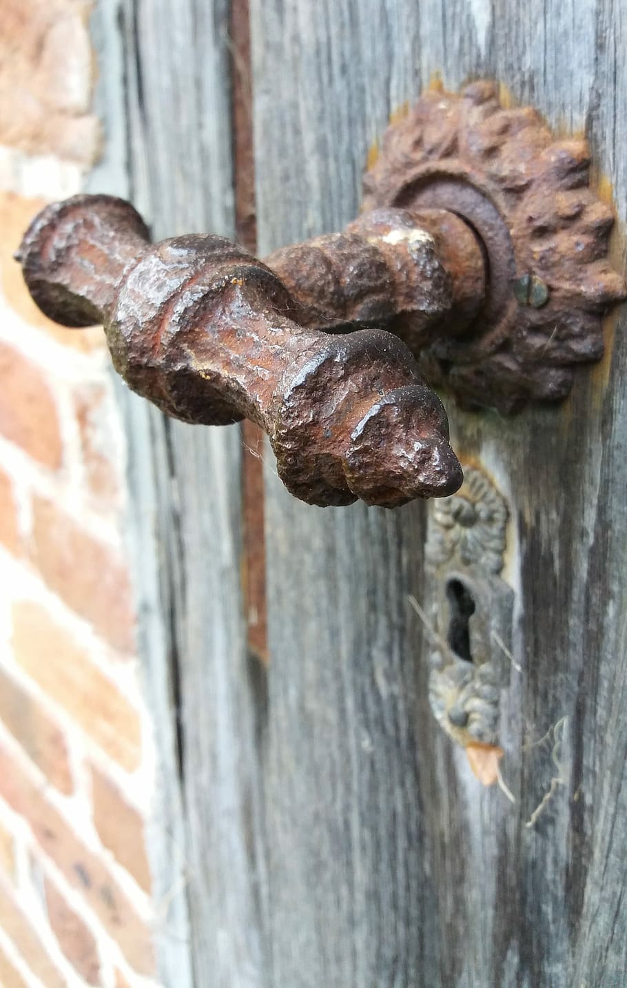 Heck, Rusted, Old, Door, Mysterious, oxidize, metal, leave HD wallpaper