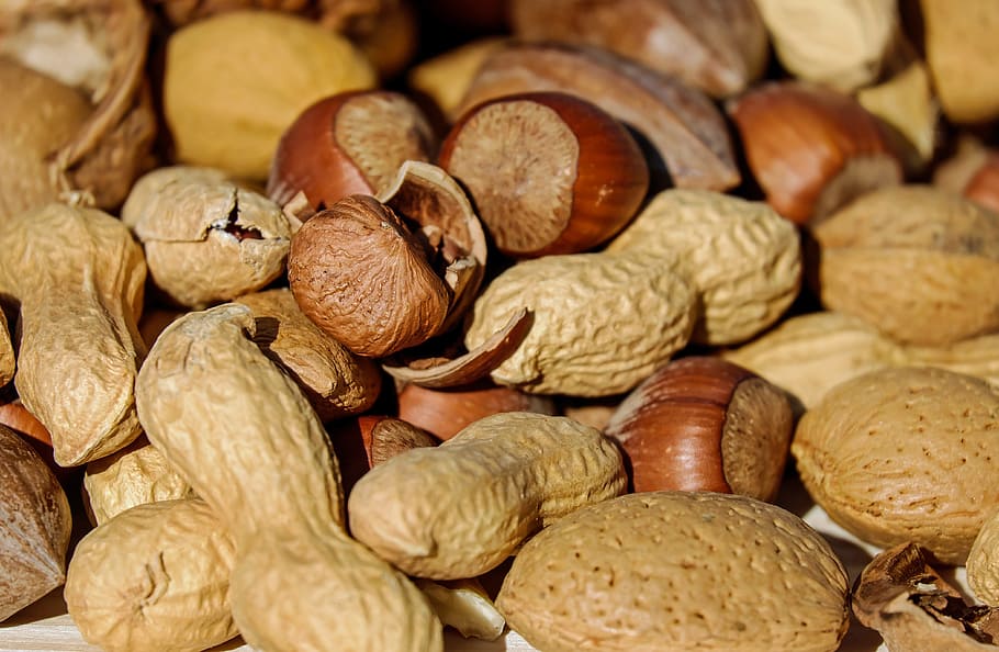 close-up photography of assorted nuts, hazelnut, peanut, almonds HD wallpaper