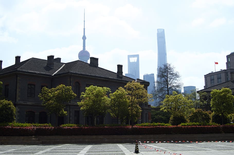 green trees near buildings, briks, shanghai, china, architecture HD wallpaper
