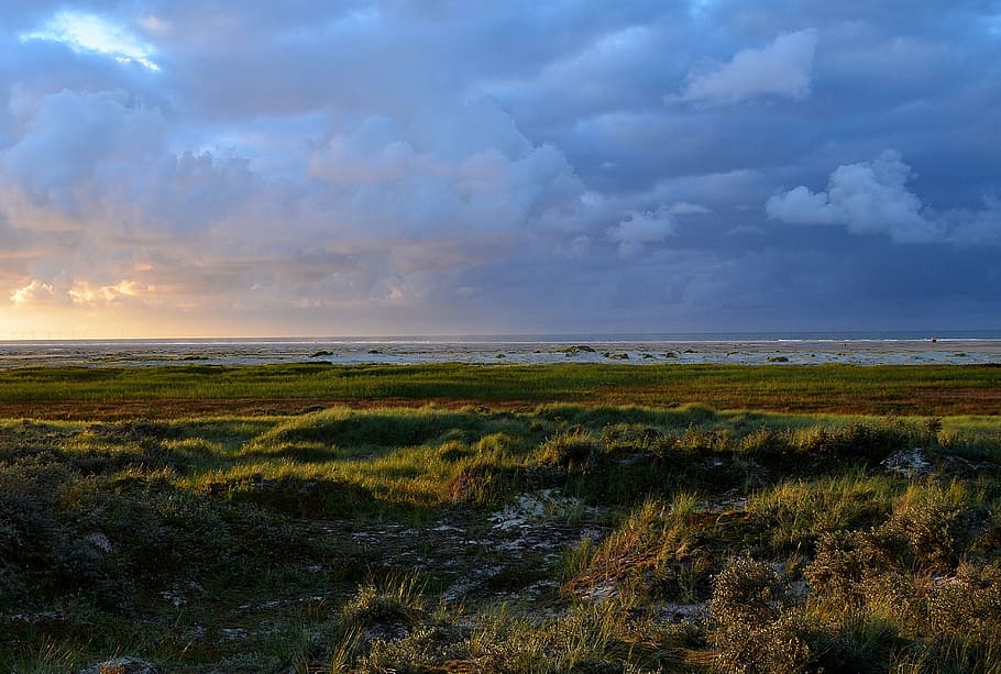 Mood, Beach, Coast, Lighting, Landscape, blue hour, twilight HD wallpaper