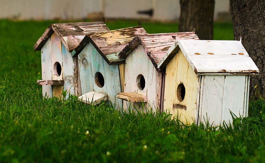 four birdhouses on grass, four assorted-color wooden nesting boxes on green grass, HD wallpaper