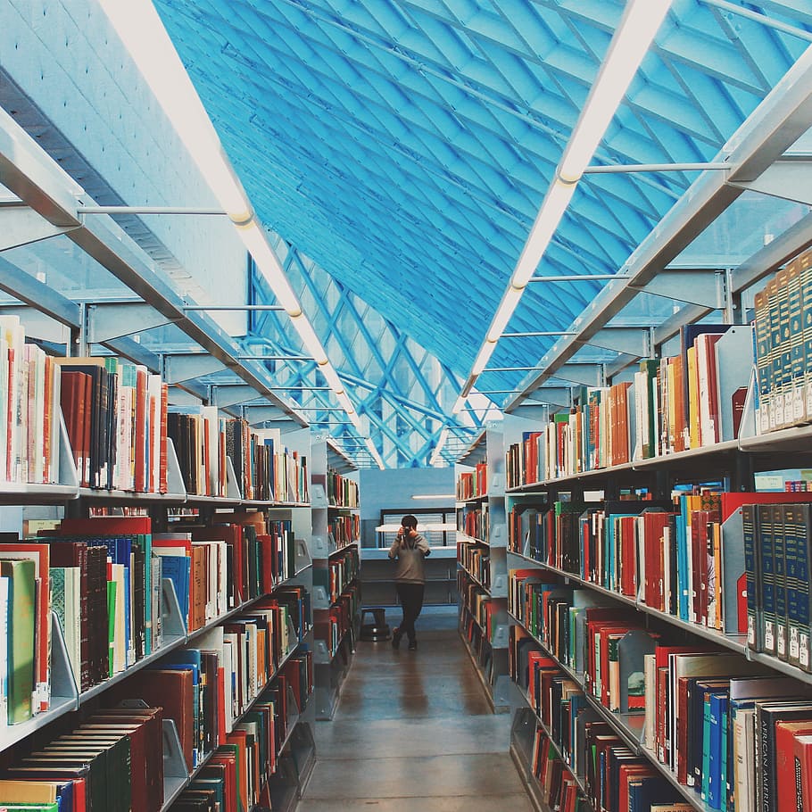 books, library, school, education, learning, study, shelf, publication HD wallpaper