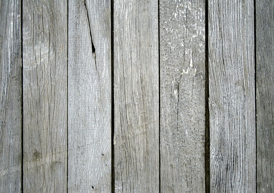 Wood, Jars, Clear, Trunk, Tree, jars trunk, texture, the background HD wallpaper
