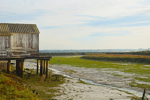 water, marshes, booth, spring, chiclana, cadiz, andalusia, sky HD wallpaper
