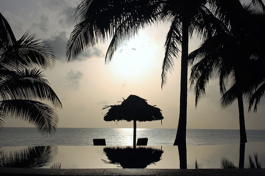 belize, sunrise, beach, ocean, water, sea, sky, beauty in nature HD wallpaper