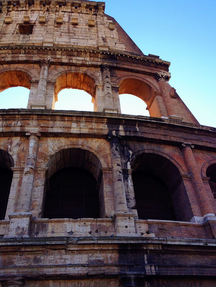 low angle photo of brown coloseum, The Coliseum, Rome Italy, architecture HD wallpaper