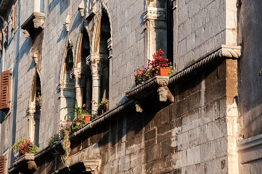 porec, august, croatia, architecture, istria, houses, old town HD wallpaper