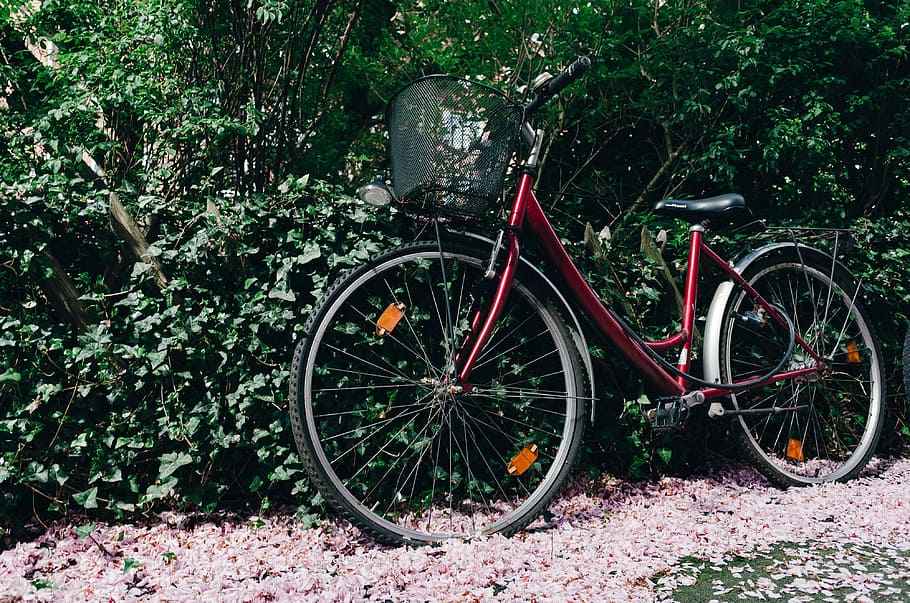 Bicycle, objects, other, outdoors, transportation, cycling, wheel HD wallpaper