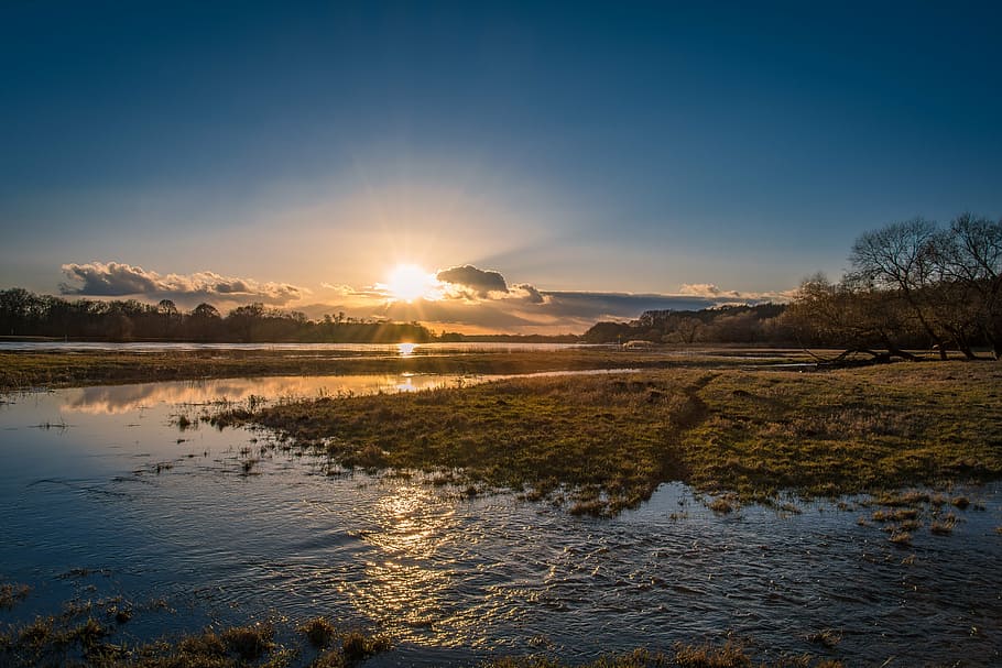 body of water near tree at golden hour, elbe, high water, evening HD wallpaper