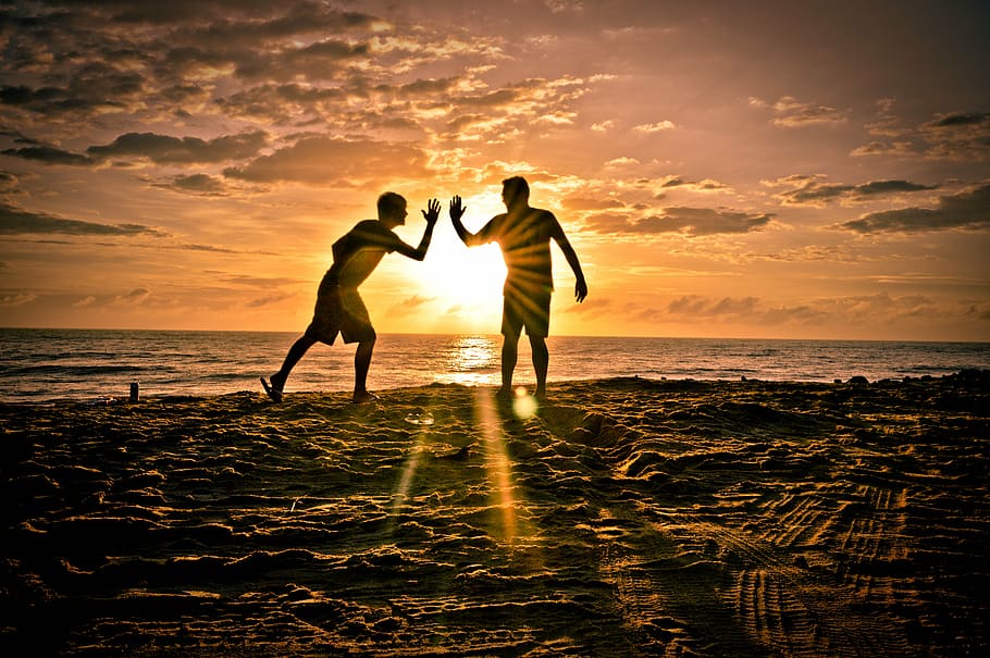 silhouette of people near body of water during sunset, friends HD wallpaper