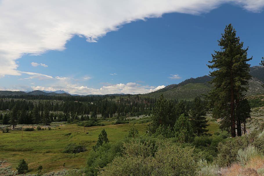 California, Fields, Landscape, wilderness, scenery, natural HD wallpaper