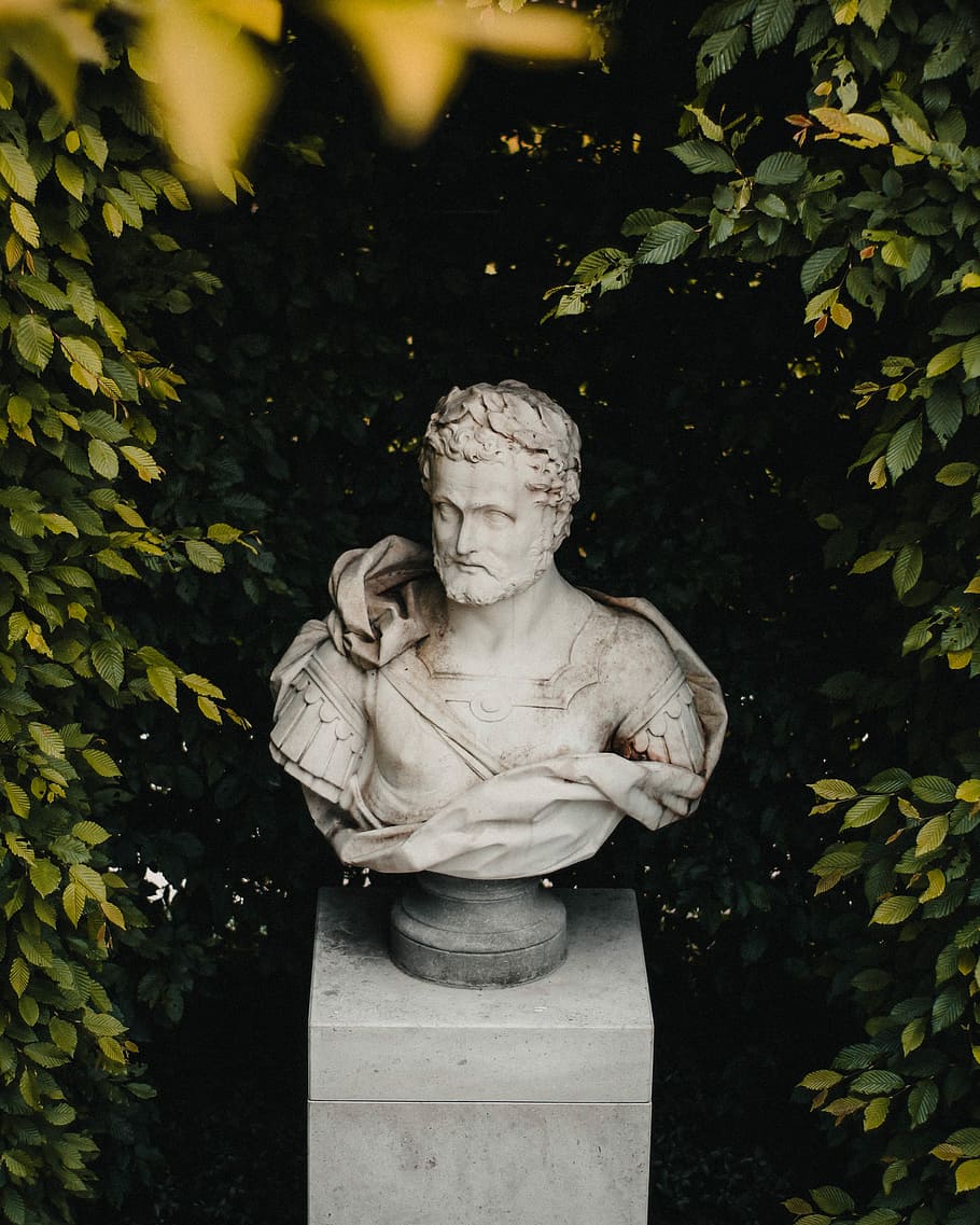 man bust under green leaf plants, statue, public art, history