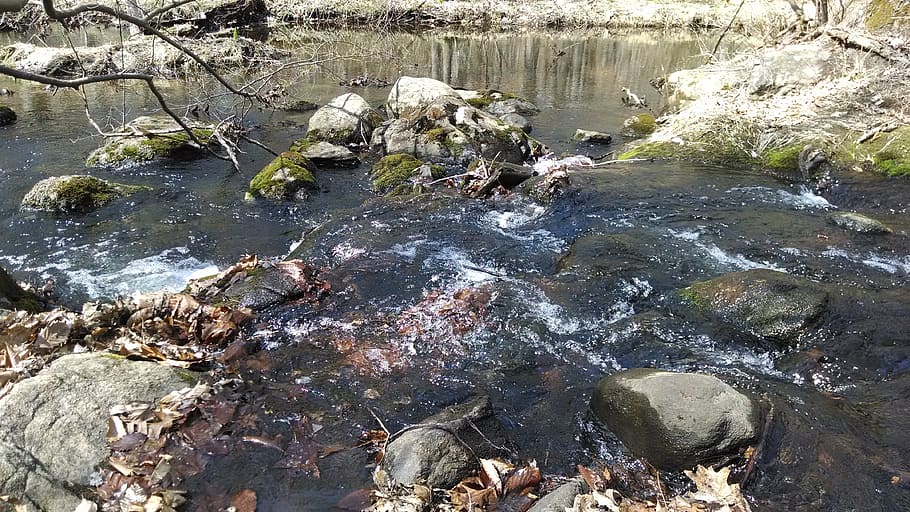 rapids, water, stream, nature, rock, solid, rock - object, day HD wallpaper