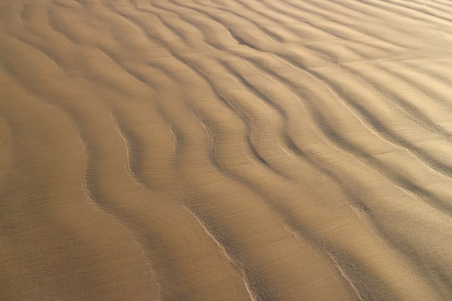 brown sand, beach, shore, sunset, beach sand, warm, edge of the sea HD wallpaper