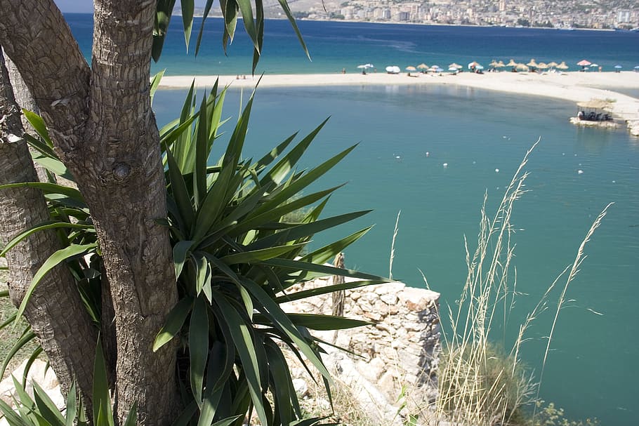Beach, Palm, Tree, Sea, Holiday, Lagoon, summer, sand, hot HD wallpaper