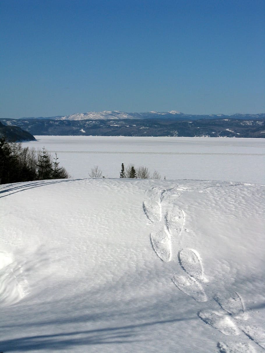 Winter, Cold, Racket, Field, sky, blue, snow, white, landscape HD wallpaper