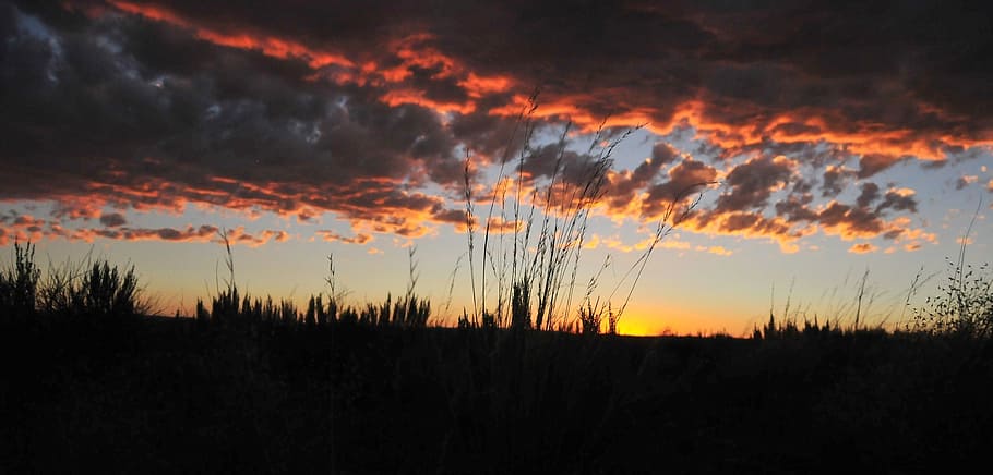 sunset, grassland, sky, clouds, nature, outdoors, landscape HD wallpaper