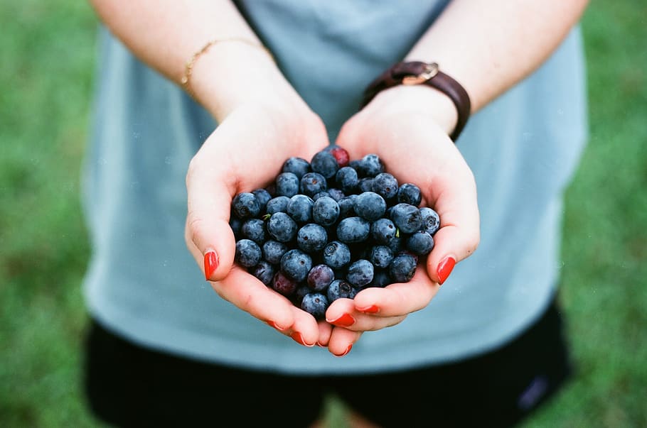 blueberry, fruit, food, hand, palm, garden, healthy eating HD wallpaper
