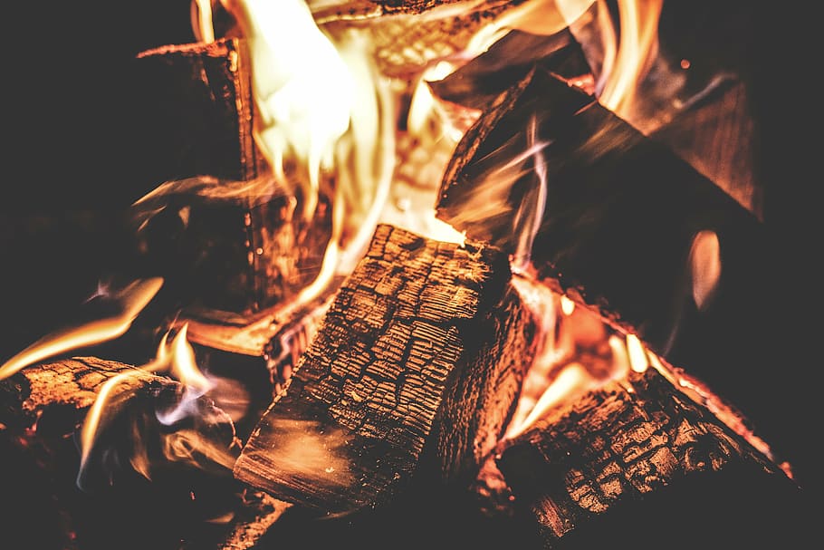 close up photography of bonfire, campfire, burn, camping, dark HD wallpaper