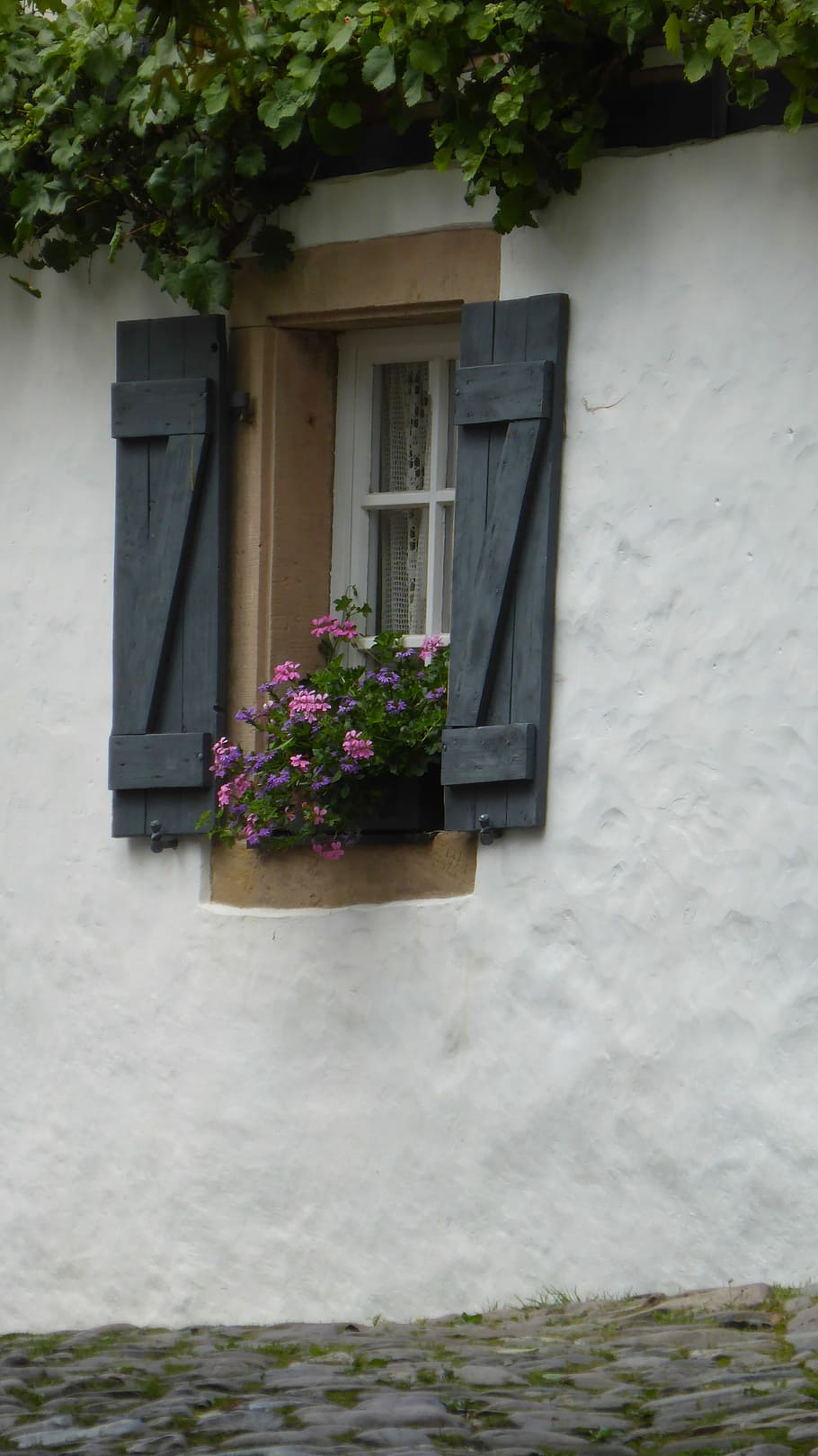 Window, Shutter, Flower Box, Home, building, facade, architecture HD wallpaper