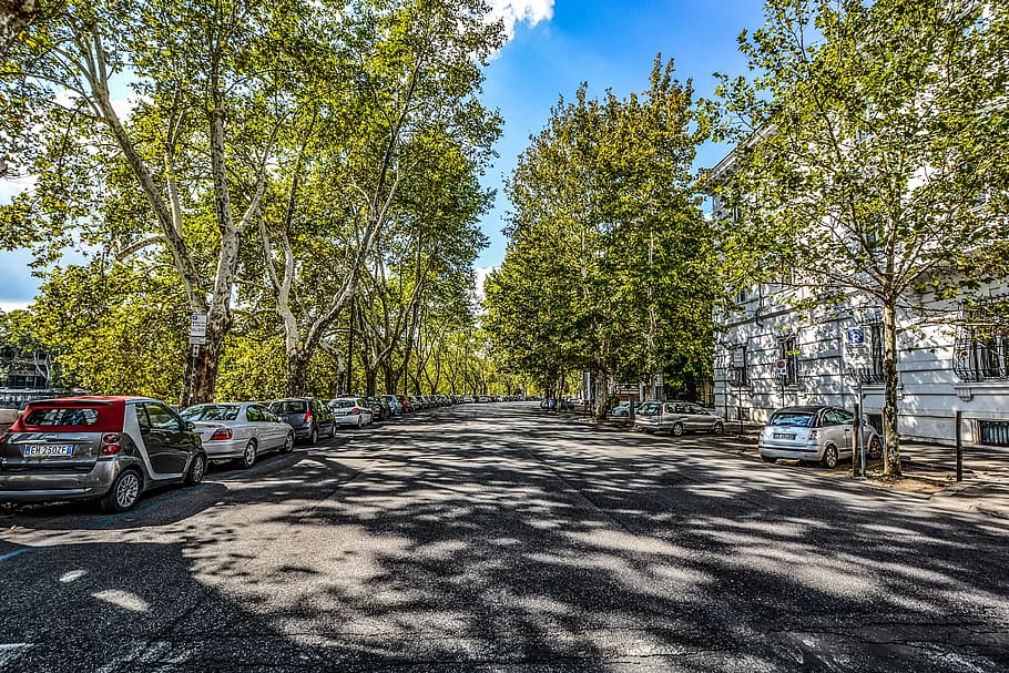 rome, italy, trees, shadows, cars, street, roman, urban, urban Scene HD wallpaper