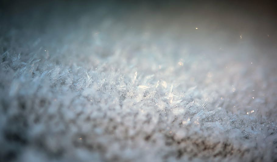 blur, close-up, cold, focus, frost, frosty, frozen, glisten HD wallpaper