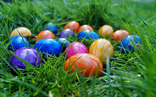 assorted-color eggs on green grass, Easter, Eggs, Spring, in the grass HD wallpaper