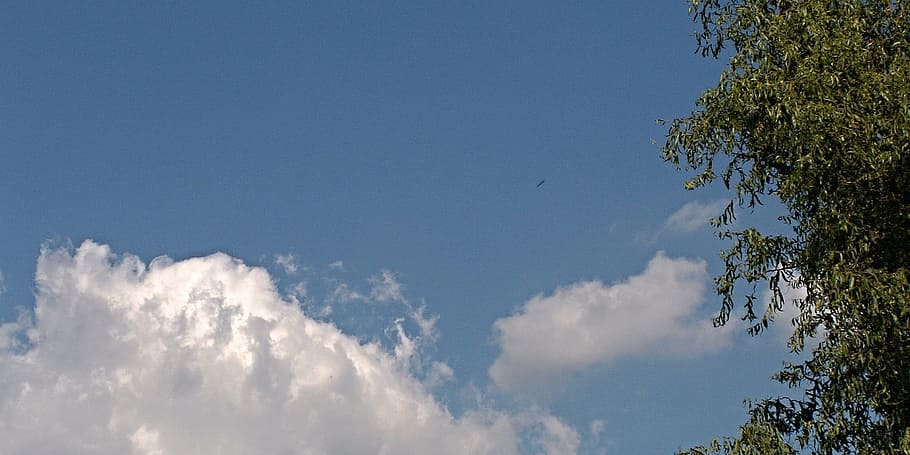 Sky, Blue, Blue, Cloud, Trees, nature, weather, day, outdoors HD wallpaper