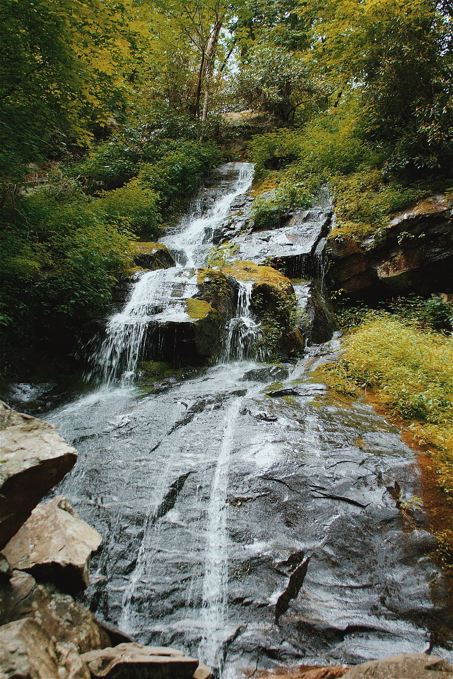 falls, water, rocks, trees, motion, flowing water, beauty in nature HD wallpaper