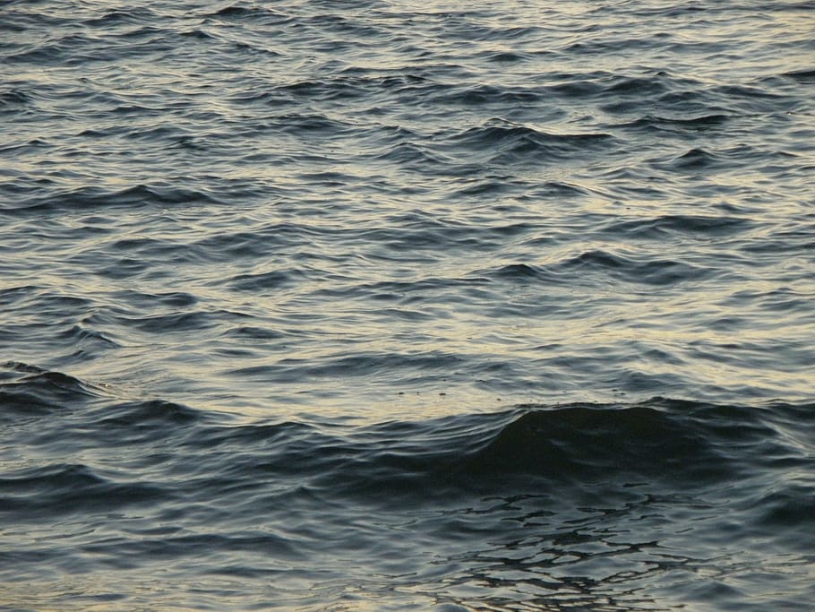 waves, surface, sea, lake, water, waterfront, backgrounds, full frame HD wallpaper