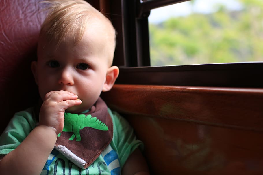 child, window, eating, boy, bib, childhood, one person, innocence HD wallpaper