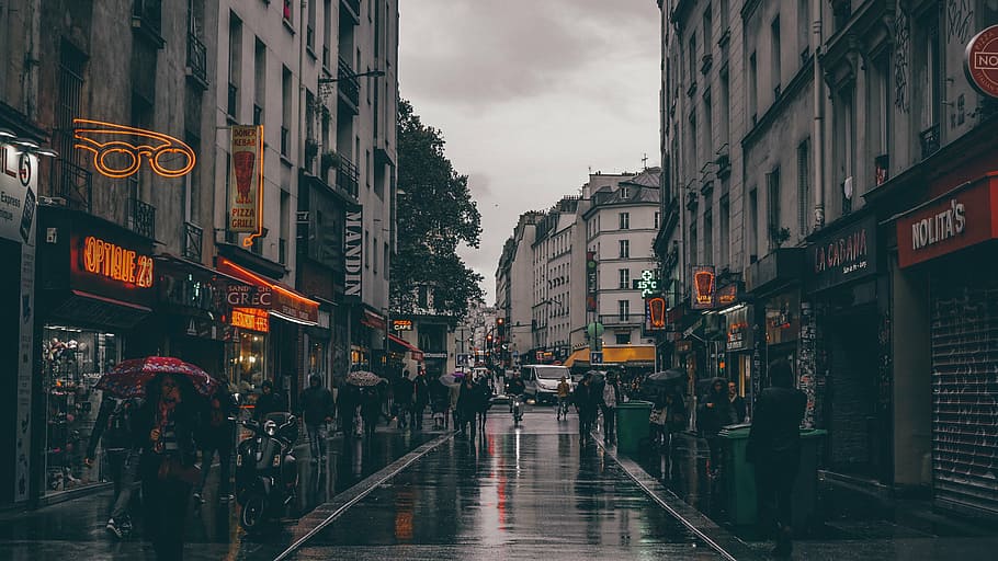 people walking on street holding umbrella while raining, near HD wallpaper