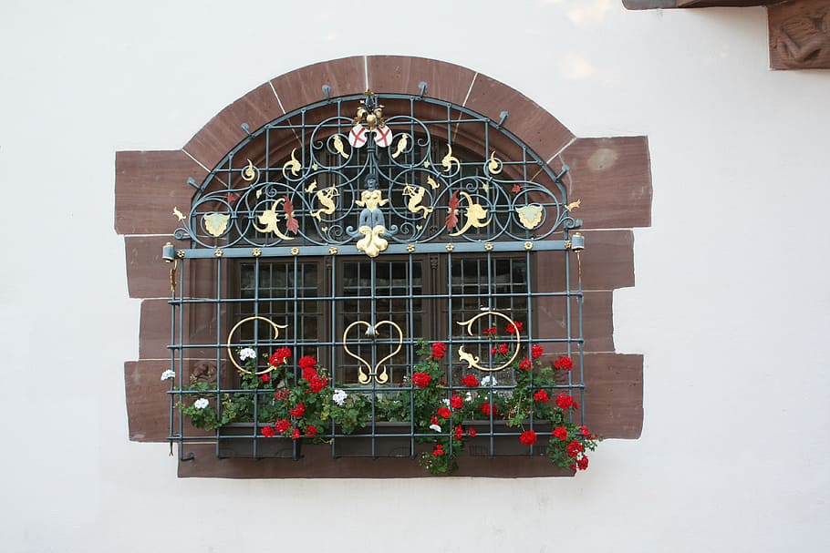 window, building, home, wall, grid, plant, flowers, window decorations HD wallpaper